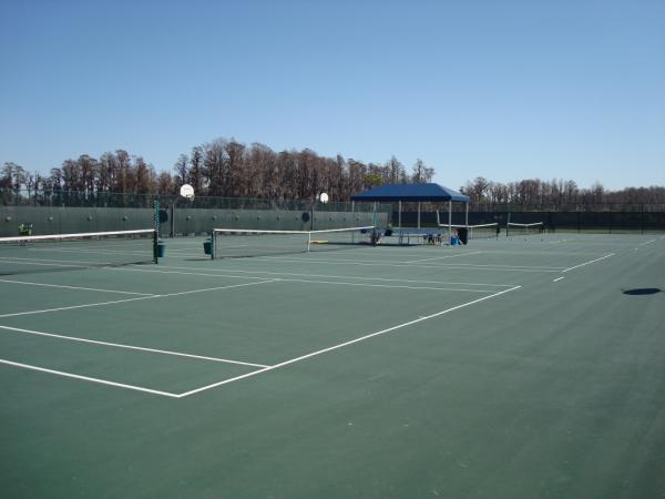 Летняя программа во Флориде - Windermere School. Теннисные корты