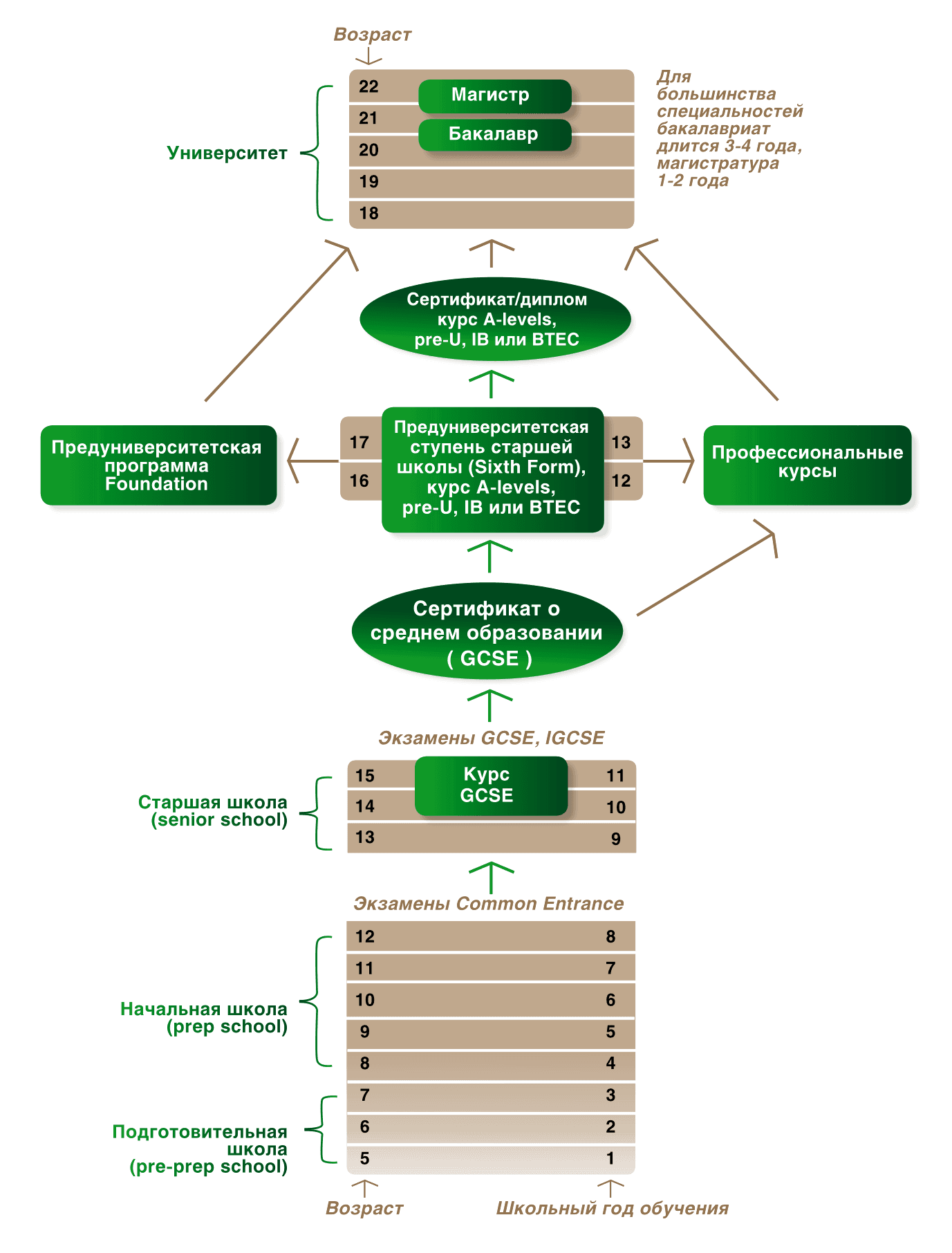 Система образования в Великобритании (схема)